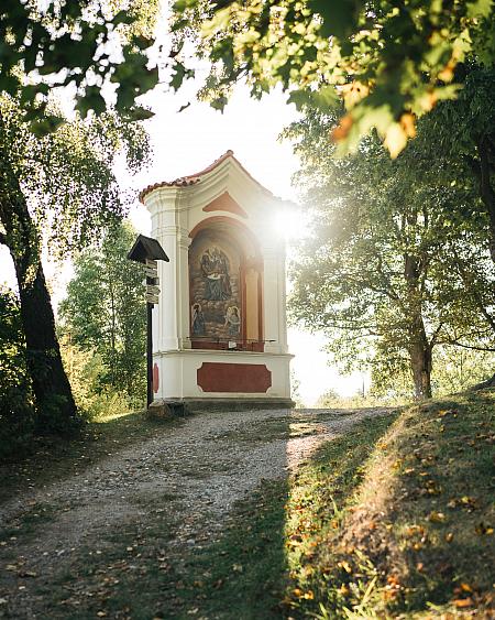 Sledujte Krumlov na síti, foto 2