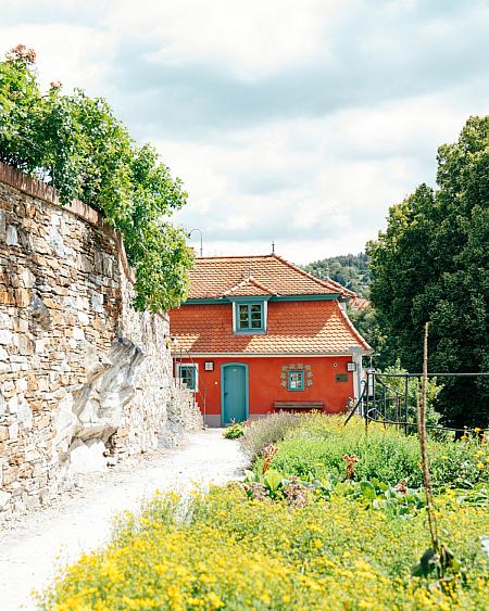 Sledujte Krumlov na síti, foto 2