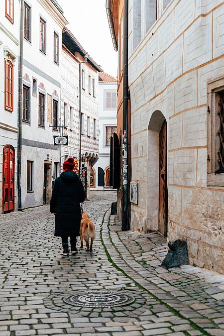 Sledujte Krumlov na síti, foto 12